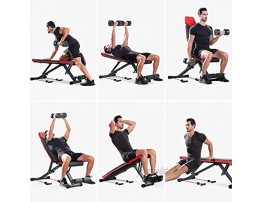 Loyo Adjustable Weight Bench Foldable Home Gym Equipment Flat Incline Decline Exercise Bench for Home Workout with Fitness Rope Strength Fitness Training Bench for Full Body 630 lbs Weight Capacity