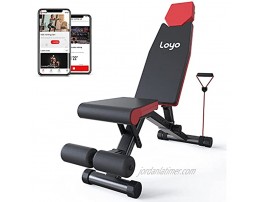 Loyo Adjustable Weight Bench Foldable Home Gym Equipment  Flat Incline Decline Exercise Bench for Home Workout with Fitness Rope Strength Fitness Training Bench for Full Body 630 lbs Weight Capacity