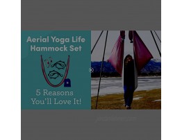 Aerial Yoga Life Aerial Yoga Hammock Set 5m x 2.5m Low-Stretch Hammock Includes Carabiners Daisy Chains & Carry Bag