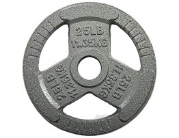 Sporzon! Cast Iron Plate Weight Plate for Strength Training Weightlifting and Crossfit Single