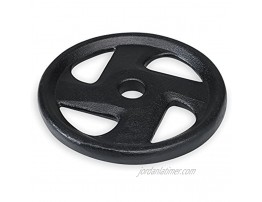 SPRI Weight Plate 1-Inch Cast Iron Standard 4 Grip Plate Available in 5 10 25 35 Pounds All Plates Sold Separately