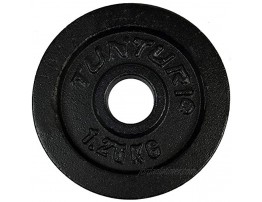 TUNTURI Unisex's Cast Iron Weight Plates Black 1.25kg Pair 1.25 kg
