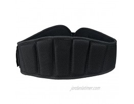 Geomet Sports TM Contoured Fit high Profile Weightlifting Belt for Lumbar Sports