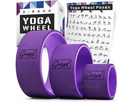 Yoga Wheels with Pose Guide Yoga Wheel Set of 3 Includes 13x5” 10x5” and 6x5” Yoga Back Roller Wheels and Illustrated Poster with 108 Yoga Poses Perfect for Pain Relief and Flexibility