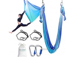 RAYLON Aerial Yoga Hammock 5.5 Yards Premium Aerial Silk Fabric Yoga Swing for Antigravity Yoga Inversion Include Daisy Chain,Carabiner and Install Instruction Gradual Change Blue
