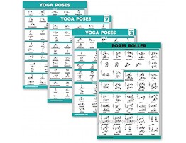 Palace Learning 4 Pack: Yoga Poses Posters Volume 1 2 & 3 + Foam Roller Exercise & Stretching Chart