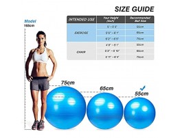 55cm Large Exercise Ball with Foot Pump & Resistance Band Stability Yoga Ball for Pregnancy Office Chair and Home Gym