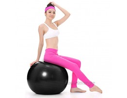 BSTPOWER Exercise Ball 65cm Extra Thick Yoga Ball Chair Anti-Burst Heavy Duty Yoga Ball Supports 2000lbs,Non-Slip Stability Fitness Ball with Quick Foot Pump for Home & Gym and Office