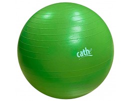 Cathe 65 cm Anti-Burst Stability & Exercise Ball Perfect for Pilates Yoga Abdominal Core Training and Hundreds of Strength Training Exercises