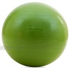 Fitness Republic Stability Ball with Pump Exercise Ball Gym Ball