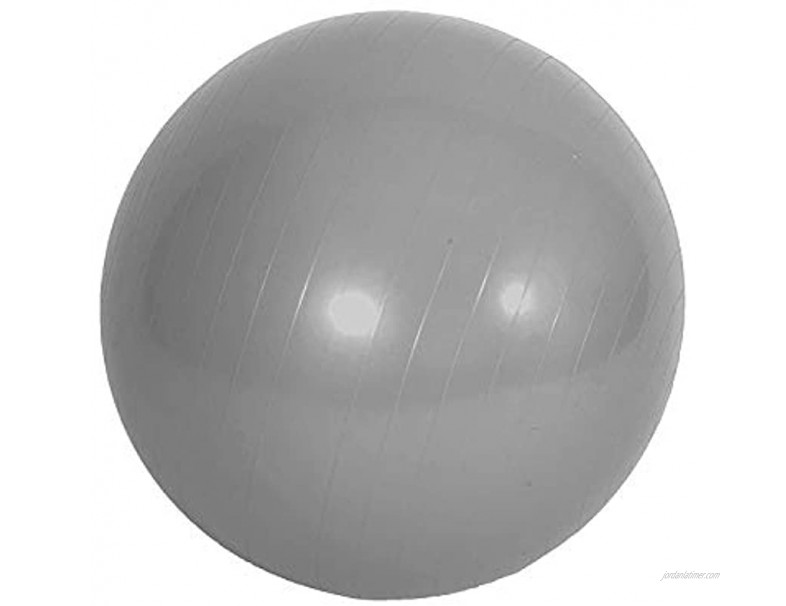 FLO360 Fitness 65 cm Exercise Ball with Pump Yoga Gym Workout