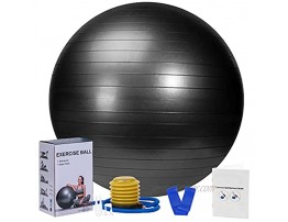 Large Exercise Ball 65cm with Foot Pump & Resistance Band Birthing Ball for Pregnancy During Labor and Delivery Anti-burst & Stability