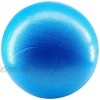 Pilates Ball Exercise Ball Mini Yoga Ball 9 Inch,Slip Resistant Balls with Inflatable Straw,Stability Exercise Training Core Training and Physical Therapy