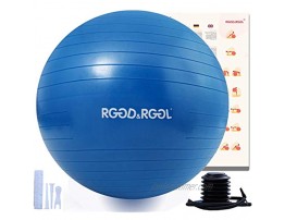 RGGD&RGGL Exercise Ball 18-34in,Professional Yoga Stability Ball Chair Extra Thick Anti-Burst Support 2200 lbs,with Quick Pump &Workout Guide for Home&Gym&Office