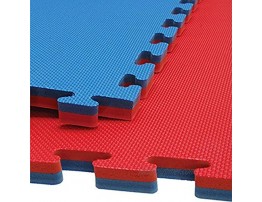 M.A.R International Ltd. Interlocking Floor Mats with Reversible Red & Blue Colour 2 40mm Thick 1m x 1m