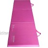 Z Athletic 2ft Wide 6ft Long Gymnastics Mat for Tumbling Yoga Pilates Calisthenics Multiple Colors