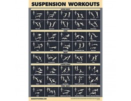 1 Pack Suspension Workout Exercise Poster [DARK] LAMINATED 18” x 24”