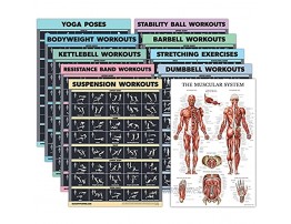 10 Pack Exercise Workout Poster Set Dumbbell Suspension Kettlebell Resistance Bands Stretching Bodyweight Barbell Yoga Poses Exercise Ball Muscular System Chart [Dark] LAMINATED 18 x 24