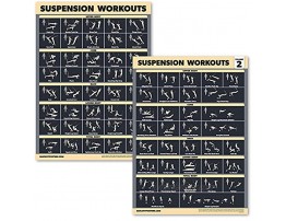2 Pack Suspension Workout Posters Volume 1 & 2 Laminated Exercise Charts Vol. 1 & 2 [DARK] LAMINATED 18” x 24”