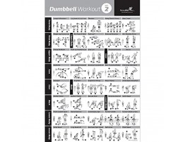 DUMBBELL EXERCISE POSTER VOL. 2 LAMINATED Workout Strength Training Chart Build Muscle Tone & Tighten Home Gym Weight Lifting Routine Body Building Guide Using Weights & Resistance 20x30