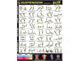 Eazy How To Suspension Cables Exercise Workout Banner Poster Big 28 X 20 Train Endurance Tone Build Strength & Muscle Home Gym Chart