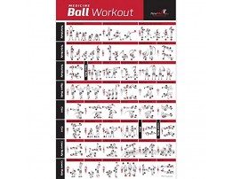 NewMe Fitness Medicine Ball Workout Poster Laminated :: Illustrated Guide with 40 Body Sculpting & Strengthening Exercises :: Great for Home or Gym for Men & Women