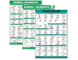 Palace Learning 3 Pack Barbell Workout Posters Volume 1 & 2 + Foam Roller Exercise Chart Set of 3 Posters