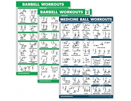 Palace Learning 3 Pack Barbell Workout Posters Volume 1 & 2 + Medicine Ball Exercise Chart Set of 3 Posters