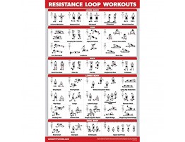 Palace Learning 3 Pack Barbell Workout Posters Volume 1 & 2 + Resistance Loops Exercise Chart Set of 3 Posters