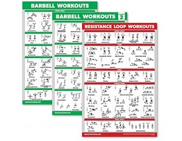 Palace Learning 3 Pack Barbell Workout Posters Volume 1 & 2 + Resistance Loops Exercise Chart Set of 3 Posters