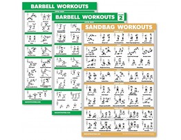 Palace Learning 3 Pack Barbell Workout Posters Volume 1 & 2 + Sandbag Exercise Chart Set of 3 Posters