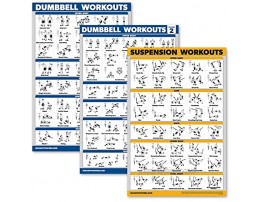 Palace Learning 3 Pack: Dumbbell Workouts Posters Volume 1 & 2 + Suspension Exercises Set of 3 Workout Charts
