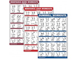 Palace Learning 3 Pack: Resistance Bands Exercise Poster + Resistance Loops Workouts + Dumbbell Exercises Set of 3 Workout Charts