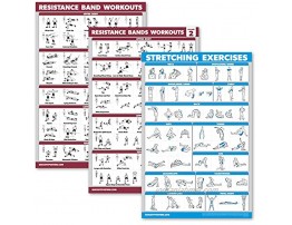 Palace Learning 3 Pack: Resistance Bands Workouts Volume 1 & 2 + Stretching Exercises Poster Set Set of 3 Workout Charts