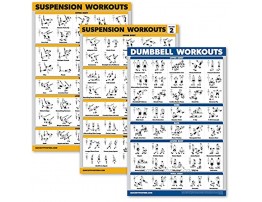 Palace Learning 3 Pack Suspension Workout Posters Volume 1 & 2 + Dumbbell Exercises Poster Set Set of 3 Workout Charts