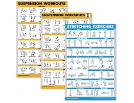 Palace Learning 3 Pack Suspension Workout Posters Volume 1 & 2 + Stretching Exercises Poster Set Set of 3 Workout Charts