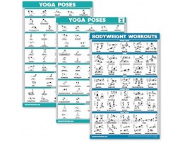 Palace Learning 3 Pack: Yoga Poses Volume 1 & 2 + Bodyweight Exercises Poster Set Set of 3 Workout Charts