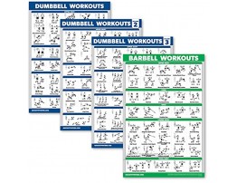 Palace Learning 4 Pack Dumbbell Workout Posters Volume 1 2 & 3 + Barbell Exercise Chart Set of 4 Posters