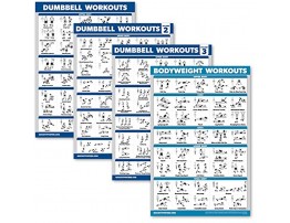 Palace Learning 4 Pack Dumbbell Workout Posters Volume 1 2 & 3 + Bodyweight Exercise Chart Set of 4 Posters