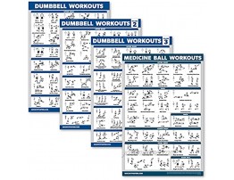 Palace Learning 4 Pack Dumbbell Workout Posters Volume 1 2 & 3 + Medicine Ball Exercise Chart Set of 4 Posters