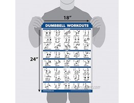 Palace Learning 4 Pack Dumbbell Workout Posters Volume 1 2 & 3 + Resistance Bands Exercise Chart Set of 4 Posters