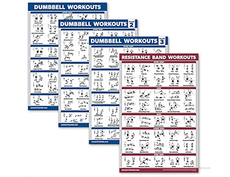 Palace Learning 4 Pack Dumbbell Workout Posters Volume 1 2 & 3 + Resistance Bands Exercise Chart Set of 4 Posters