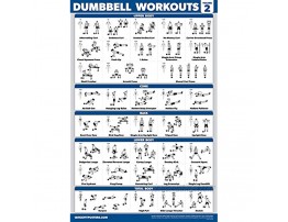 Palace Learning 4 Pack Dumbbell Workout Posters Volume 1 2 & 3 + Resistance Loops Exercise Chart Set of 4 Posters