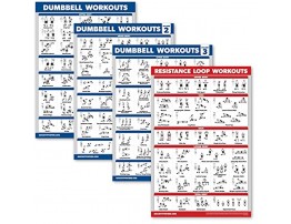 Palace Learning 4 Pack Dumbbell Workout Posters Volume 1 2 & 3 + Resistance Loops Exercise Chart Set of 4 Posters