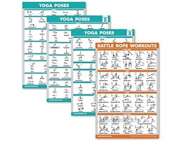 Palace Learning 4 Pack: Yoga Poses Posters Volume 1 2 & 3 + Battle Rope Exercise Chart