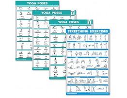 Palace Learning 4 Pack: Yoga Poses Posters Volume 1 2 & 3 + Stretching Workout Exercise Chart