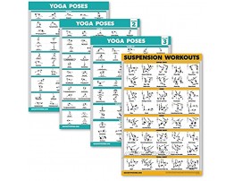 Palace Learning 4 Pack: Yoga Poses Posters Volume 1 2 & 3 + Suspension Workout Exercise Charts