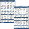 QuickFit 2 Pack Dumbbell Workout Exercise Posters Volume 1 & 2 Free Weight Body Building Exercise Charts 18 x 27 Vol. 1 & 2