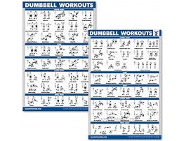 QuickFit 2 Pack Dumbbell Workout Exercise Posters Volume 1 & 2 Free Weight Body Building Exercise Charts 18 x 27 Vol. 1 & 2