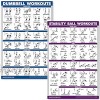 QuickFit Dumbbell Workouts and Exercise Ball Poster Set Laminated 2 Chart Set Dumbbell Exercise Routine & Stability Yoga Ball Workouts